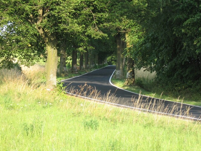 „Nedbalost, s jakou se do bezpečnostního pásma umisťuje vše, co tam nepatří, je neuvěřitelná, neomluvitelná a měla by být trestána,“ říká k pevným překážkám u silnic Jiří Landa.