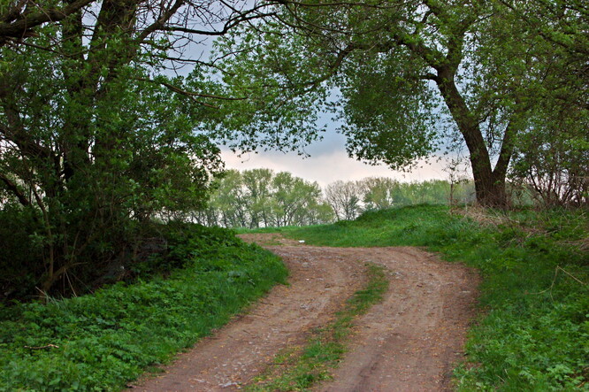 Obnovit zapomenutou polní cetu pomohou i skauti. Ilustrační snímek.