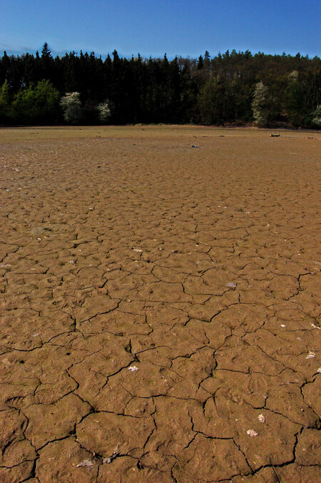 Vegetační doba rostlin se prodlouží o víc jak měsíc. Výhodné to však nijak extra nebude, protože léto bude spíš suché.