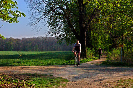 Cyklista ve Vinořském parku v Praze.