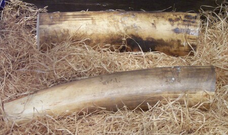 Podle vyšetřovatelů chtěl muž sloní kly zlegalizovat prostřednictvím povolení k lovu v Mosambiku z roku 1970. Povolení ale opravňovalo jen k lovu jednoho slona