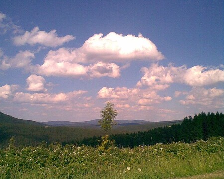 Jan Werich se ve své pohádce mýlil. Všichni šumavští nepoctiví obři zřejmě nevyhynuli a čas od času se na Šumavu vracejí, aby tam páchali nedobrotu