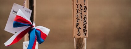 Alej svobody 2021 Foto: Jakub Caha Nadace Partnerství