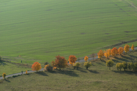 Česká i unijní legislativa zemědělcům nařizuje používat biologické prostředky na ochranu rostlin místo chemických, ale ministerstvo zemědělství povolilo Ústřednímu kontrolnímu a zkušebnímu ústavu zemědělskému nastavit podmínky tak, že tento fakt lze kvůli bodovému systému velice jednoduše obejít