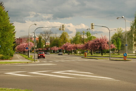 Město v oblasti s nejvíce znečištěným ovzduším, spojované především s těžními věžemi a černými haldami, nabízí díky aleji na jaře nečekaně romantický zážitek