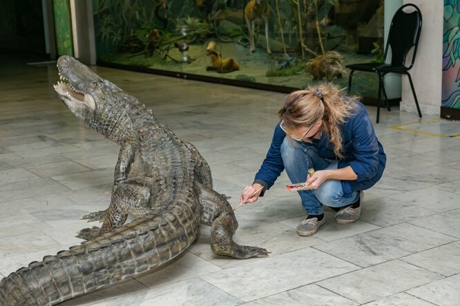 Saturn se vylíhnul ve Spojených státech v roce 1936, zanedlouho se ocitl v berlínské zoo, kde prožil i bombardování Berlína. V listopadu roku 1943 ze zoo uprchnul. Následující tři roky jeho života obestírá tajemství. V roce 1946 ho však našli britští vojáci a předali ho tehdejšímu Sovětskému svazu.