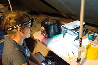 Camryn Allenová při analyzování vzorků.