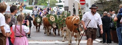 Almabtrieb Foto:  alpros Manuela S. Scheuerer Flickr.com
