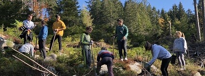 foto: Správa Krkonošského národního parku (KRNAP)