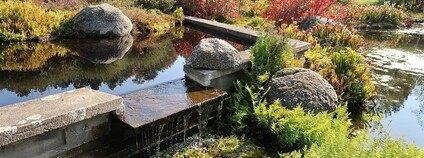 Botanická zahrada a arboretum Mendelovy univerzity v Brně Foto: PoTom Wikimeda Commons