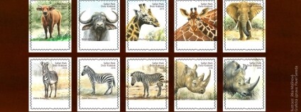 foto: Tereza Vernerová / Safari Park Dvůr Králové