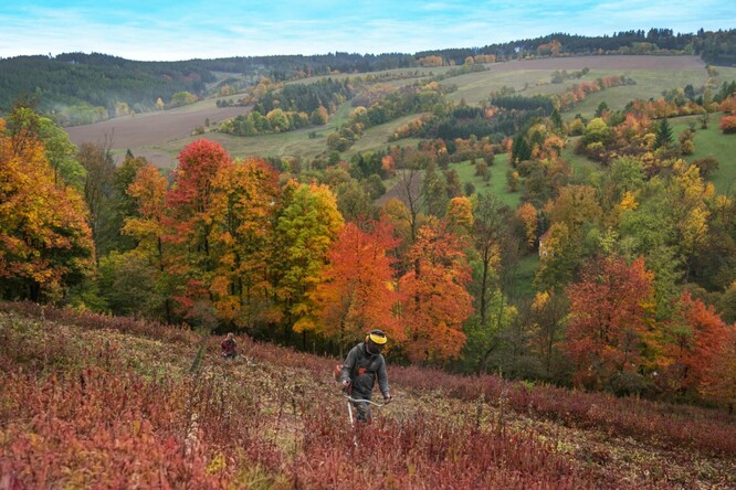 Aktivity ČSOP Arion přináší výsledky: louky plné motýlů, orchidejí a mateřídoušky, mokřady se skřehotajícími žábami a ovocné stromy obalené květy. Tento pestrý kout přírody na česko-moravském pomezí by bez nadšení ochranářů upadl v zapomnění.