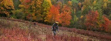 Motýlí království na pomezí Čech a Moravy Foto: Mezinárodní ochranářská skupina JARO