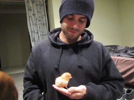 Australan James Aspey se loni v lednu rozhodl držet rok bobříka mlčení.  Svým mlčením chtěl tento aktivista za práva zvířat poukázat na to, jak se lidé chovají ke zvířatům.