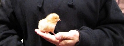 Foto: James Aspey / Facebook