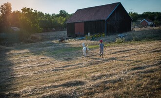 Farma U mlsné kozy.