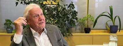 David Attenborough Foto: Steve Bowbrick Flickr.com