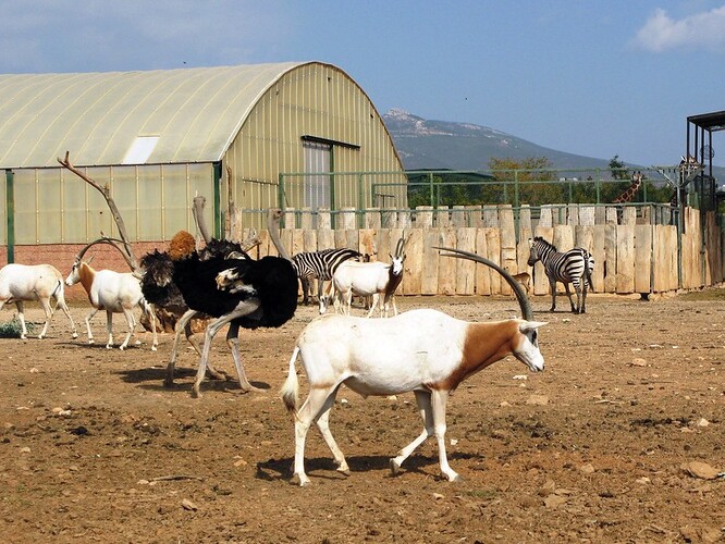 Po jarní dvouměsíční uzávěře musel zoologický park znovu zavřít 7. listopadu, což mu způsobuje potíže. Zoo je otevřená celoročně, Řekové ji však navštěvují spíše v chladnějším období. Během léta "totiž Řekové jezdí na pláže, navštěvují ostrovy a nechodí do zoo", říká Lesueur. Vstupné, prodej jídla, pití či suvenýrů a jiné platby od návštěvníků tvoří až 99 procent příjmů zahrady.