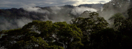 Foto: Martin Svátek / AV ČR