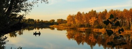 Foto: Larisa-K / Pixabay