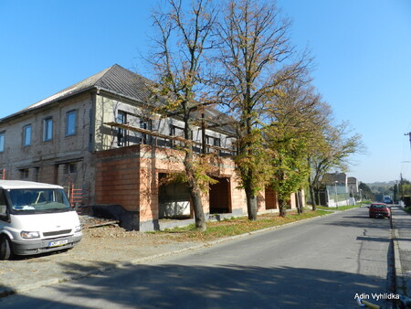 Občané se diví, jak je možné, že se kácí viditelně zdravé stromy a suchá torza zůstávají i několik let na mnoha místech města na odiv