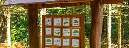 Nový lesopark v Adamově Foto: Mendelova univerzita v Brně