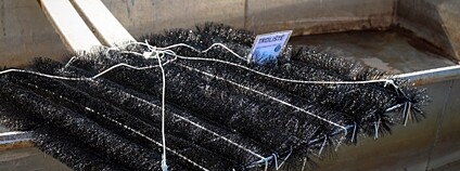 Umělá hnízda pro candáty Foto: Jakub Hardt Biologické centrum AV ČR