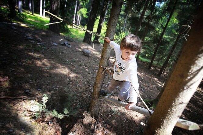 Děti v lesní školce Třísov. / Lesní školka se nachází na okraji obce Třísov, na travnatém pozemku s kusem lesa o výměře přes 6200 m2. Vzdálenost z Českých Budějovic činí 18 km a z Českého Krumlova 10 km. Pozemek školky je ze tří stran obklopen lesem a nachází se nedaleko přírodního koupaliště Třísov.