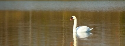 Foto: Archiv Petra Duška