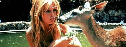 Foto: miriam-assai / Flickr