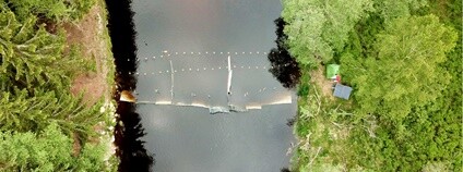 Bariéry na Vltavě Foto: Biologické centrum AV ČR, v. v. i.