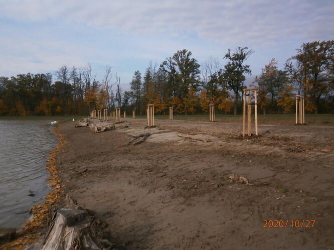 Kromě oprav poškozené hráze a technických objektů se obnovila litorální pásma, zvětšily plochy rákosin a odbahnily se zdrže rybníků. Rybniční ostrovy byly upraveny tak, aby se zlepšily podmínky pro hnízdění ptáků. Vysazeno bylo i 44 stromů.