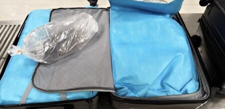 Žena pašovala úhoře ve 36 sáčcích naplněných vodou. Celková hmotnost sáčků s vodou a úhoři dosáhla téměř 40 kilogramů. Na velké množství organického materiálu celníky upozornila rentgenová kontrola. Šlo o úhoře ve stadiu tzv. monté, což jsou mladí úhoři do osmi centimetrů délky.