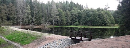 Rekonstrukce jednoho z „Bečovských lesních rybníků“ Foto: Lesy ČR