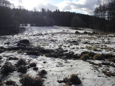 Od železniční zastávky Šubířov dovede výletníky na místo žlutá turistická značka spolu s naučnou stezkou Kladecko