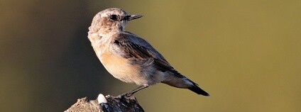 Foto: Radovan Václav / Flickr