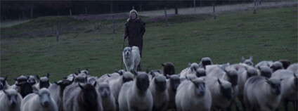 Foto: Frame films s. r. o.