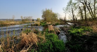 „Údolí Berounky mezi Berounem a Prahou je jedno z našich nejkrásnějších a je hojně využíváno pro rekreaci," říká zastupitelka Prahy Jana Plamínková.
