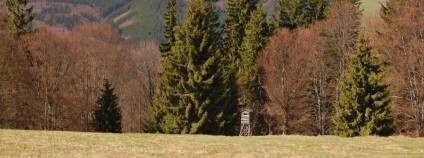 Foto: Jan Řezáč / VÚLHM