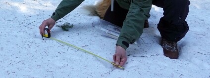 Foto: Miroslav Dvorský