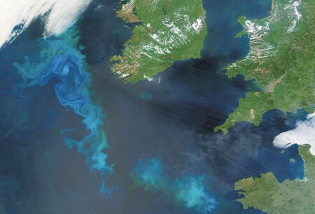 Oteplení klimatu tropů může akcelerovat rozkladnou činnost půdních bakterií v tropech. Zrychlené tempo mikrobiálního rozkladu pak vede k vyššímu uvolňování metanu do atmosféry.