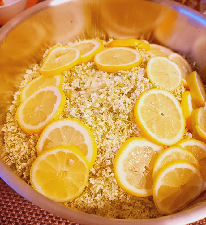 Příprava sirupu z bezového květu sklizeného za domem.