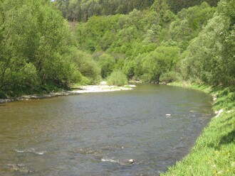 Hladina vody ve Vsetínské bečvě v Jarcové v běžném období.
