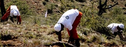 foto: Guinness World Records