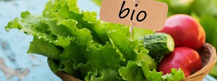 biopotravina Foto: daffodildred Shutterstock