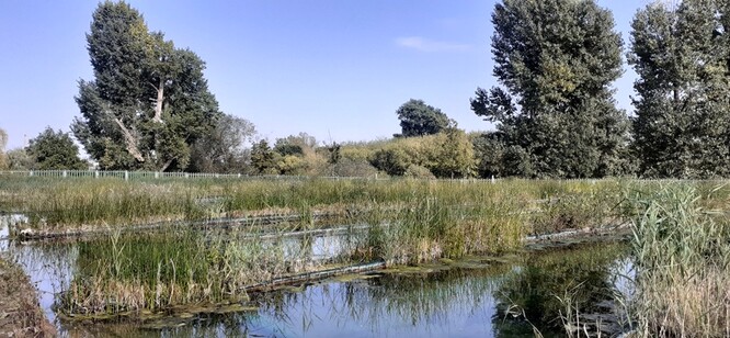 Čistící jezero Biotopu Radotín