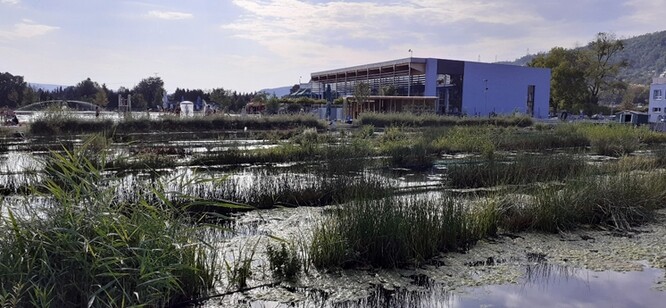 Pohled na nový krytý bazén a detail nárůstu řas v čistícím jezeře na konci léta.
