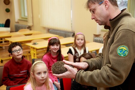 Poté, co se děti dovědí, jak se o ježka starat a čím ho krmit, budou ježci „v jejich rukou“