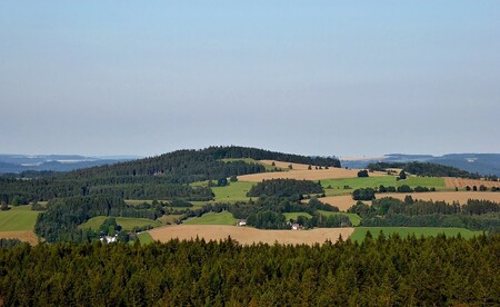 V Chráněné krajinné oblasti Žďárské vrchy zatím v důsledku sucha neuhynul žádný památný strom. / Ilustrační foto