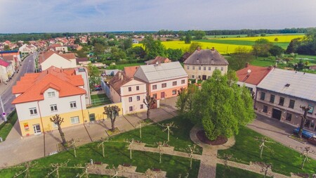 Dvanáct Lip svobody letos soutěží o titul Strom roku v 17. ročníku ankety. Mezi finálovými zástupci jsou ale i tři zástupci stromů „teprve“ padesátiletých. Spojuje je odpor proti okupaci Československa a nastupující normalizaci. Lípu svobody v Lázních Bohdaneč (na obrázku) vysadili dva učitelé spolu se svými žáky ze základní školy 28. října 1968.